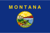 Montana Bandeira