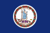 Virginia Bandeira
